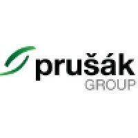 prusak group s.r.o. logo image