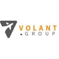 volant group logo image