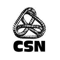 confédération des syndicats nationaux (csn) logo image