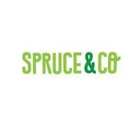 spruce & co logo image