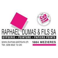 raphaël dumas & fils sa logo image