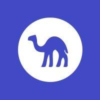 nocamels - israeli tech & innovation news logo image