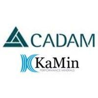 cadam s.a. logo image