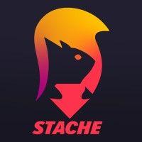 stache logo image