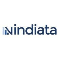 vindiata logo image