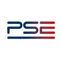 polskie sieci elektroenergetyczne s.a. logo image