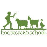 the homestead school