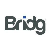 bridg logo image