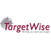 targetwise international logo image