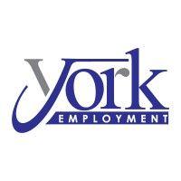 york employment services inc. logo image