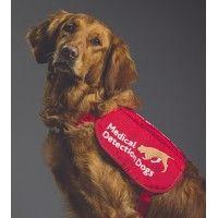 medical detection dogs logo image