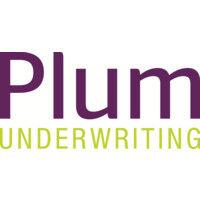 plum underwriting logo image