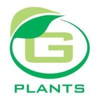 g plants limited logo image