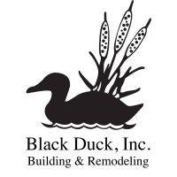 black duck, inc. logo image