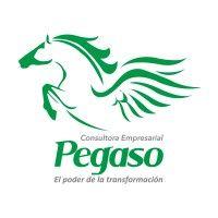 pegaso logo image