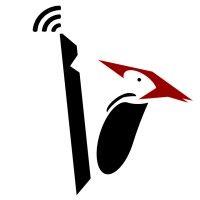 woodpecker microsystems logo image