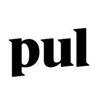 pul technologies logo image