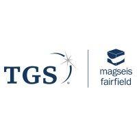 magseis fairfield asa logo image