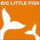 logo of Big Little Fish Tv