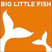 big little fish tv logo image