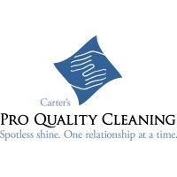 pro quality cleaning logo image