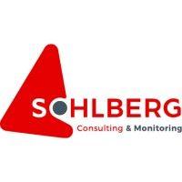 sohlberg consulting ltd logo image