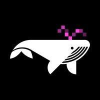 whale.agency logo image