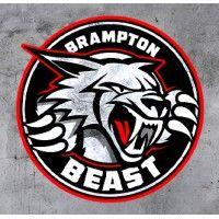 brampton beast hockey club