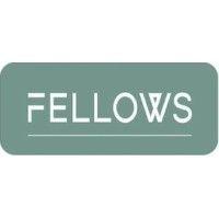 fellows international group limited logo image