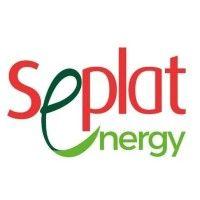 seplat petroleum development company plc logo image