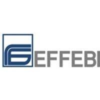 effebi spa logo image