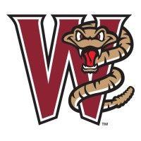 wisconsin timber rattlers logo image