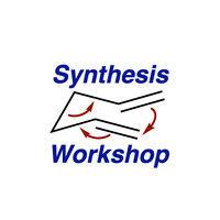 synthesis workshop