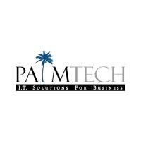 palmtech computer solutions logo image