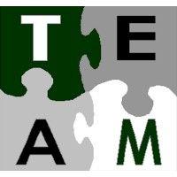 team advisory services logo image