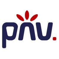 pnv d.o.o., produkcija novih vizij logo image