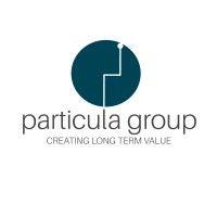 particula group logo image