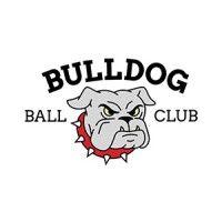 the bulldog ball club logo image