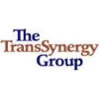 the transsynergy group logo image