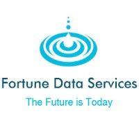 fortunedataservices logo image