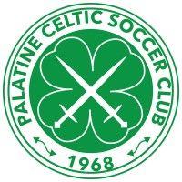 palatine celtic soccer club logo image