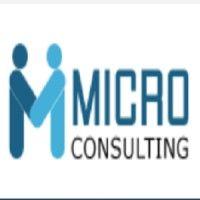 microconsulting