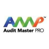 audit master pro logo image