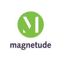 magnetude consulting logo image