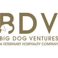 big dog ventures logo image