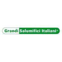 grandi salumifici italiani s.p.a. logo image