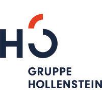 gruppe hollenstein logo image