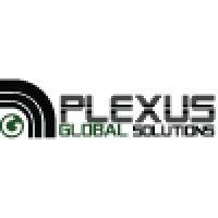 plexus global solutions pvt ltd logo image