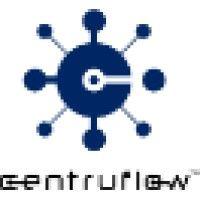 centruflow is now hubscope logo image