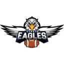 logo of Dammam Eagles